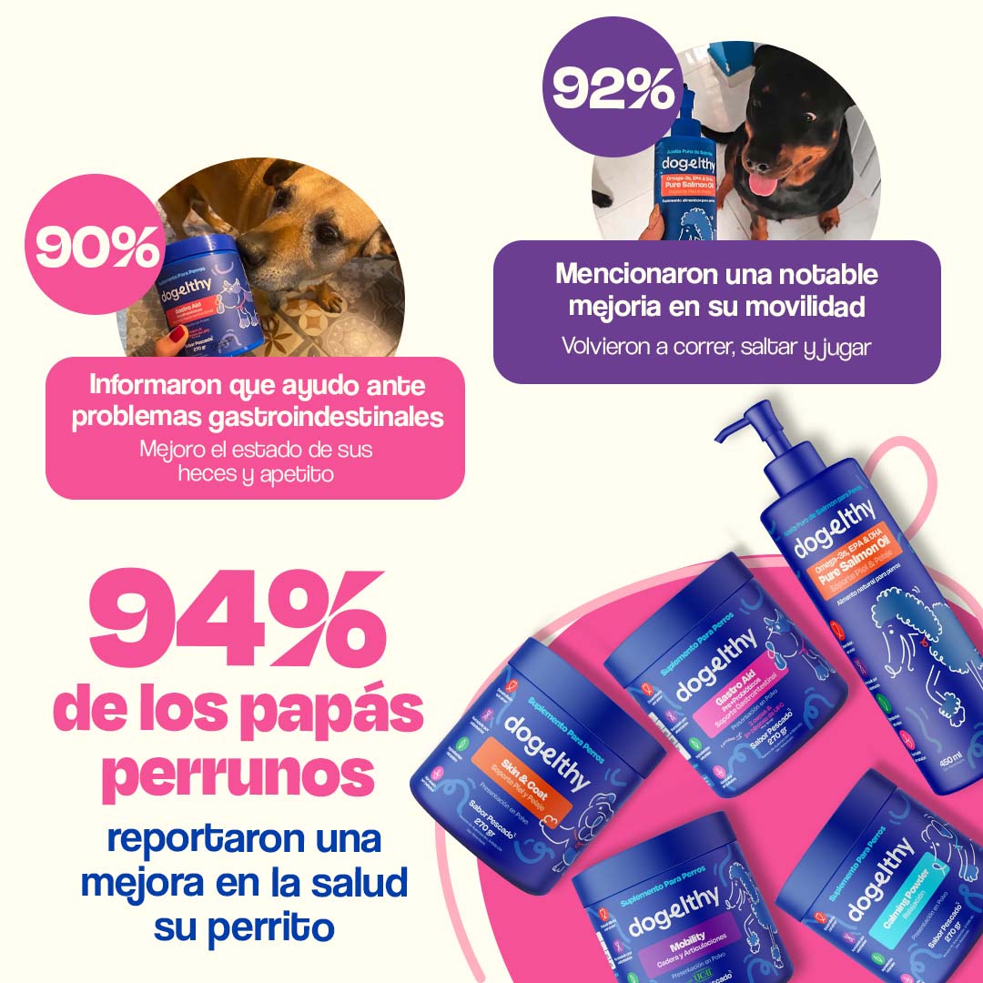Kit Multivitaminico para Perro - Wellness Kit