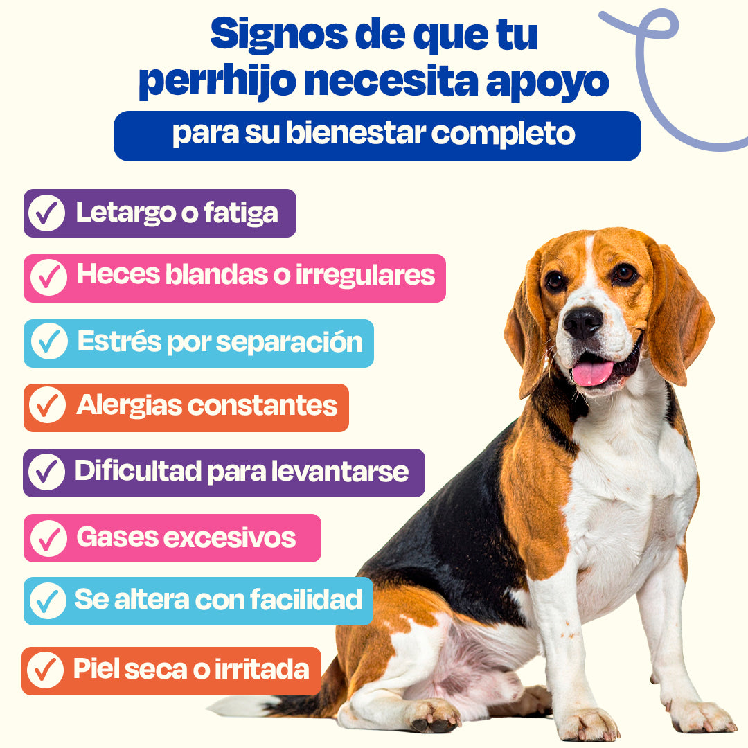 Kit Multivitaminico para Perro (Sabor=Pescado)