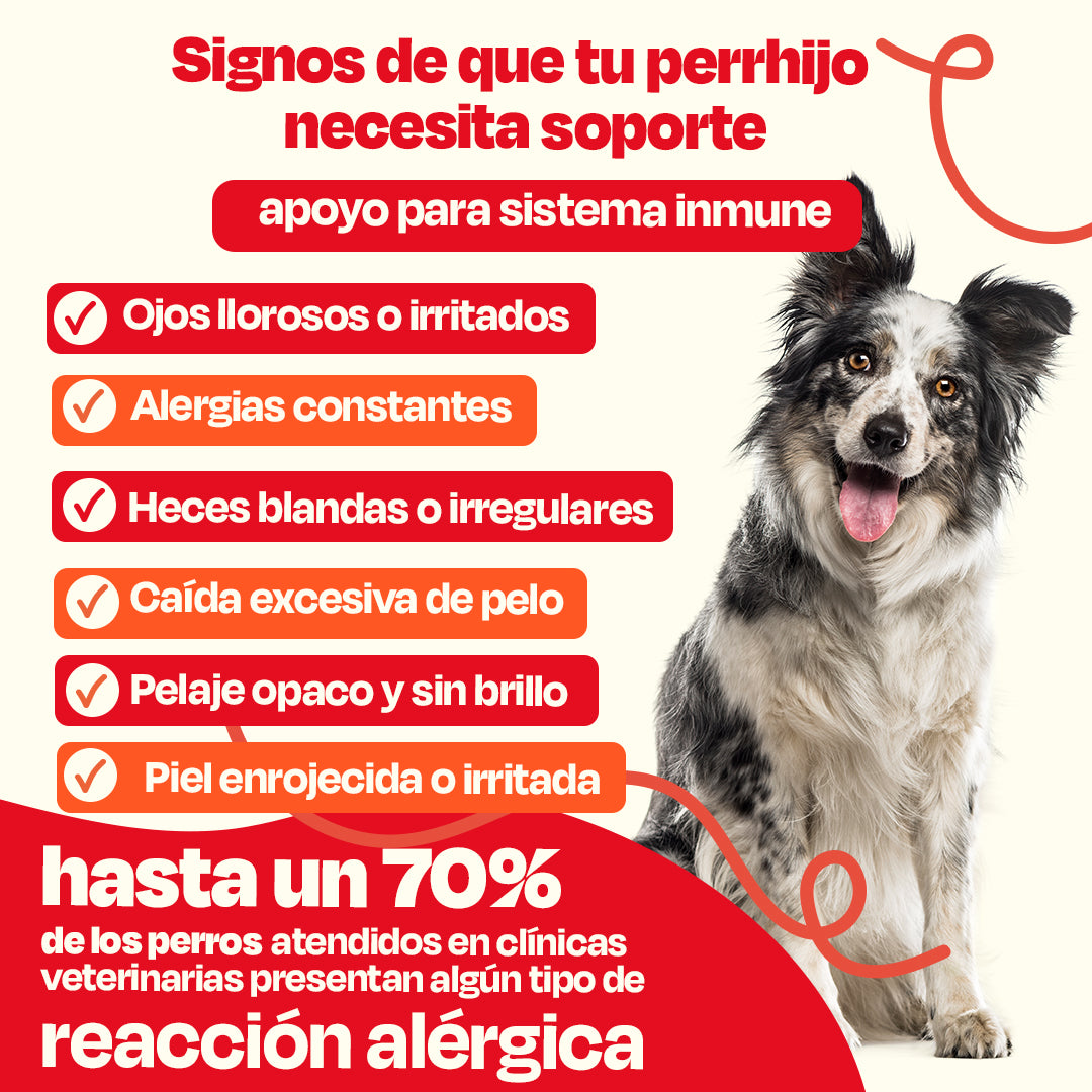 Kit de Allergy Blend + Pure Salmon Oil