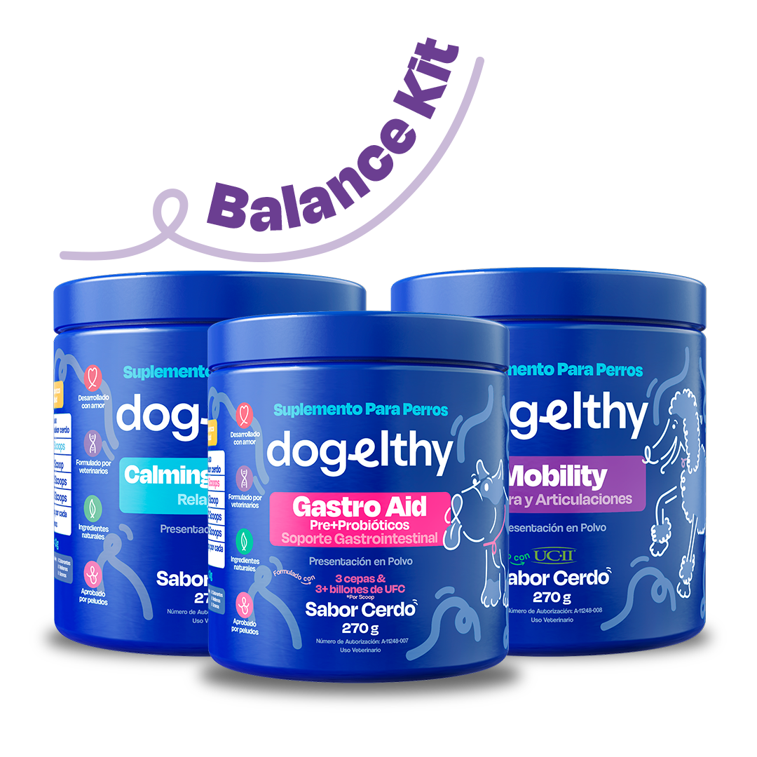 Kit Balance para Perro (Sabor=Cerdo)