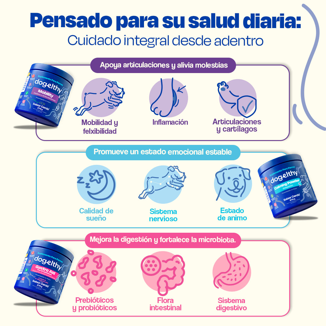 Kit Balance para Perro (Sabor=Cerdo)