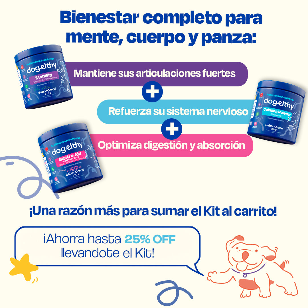 Kit Balance para Perro (Sabor=Cerdo)