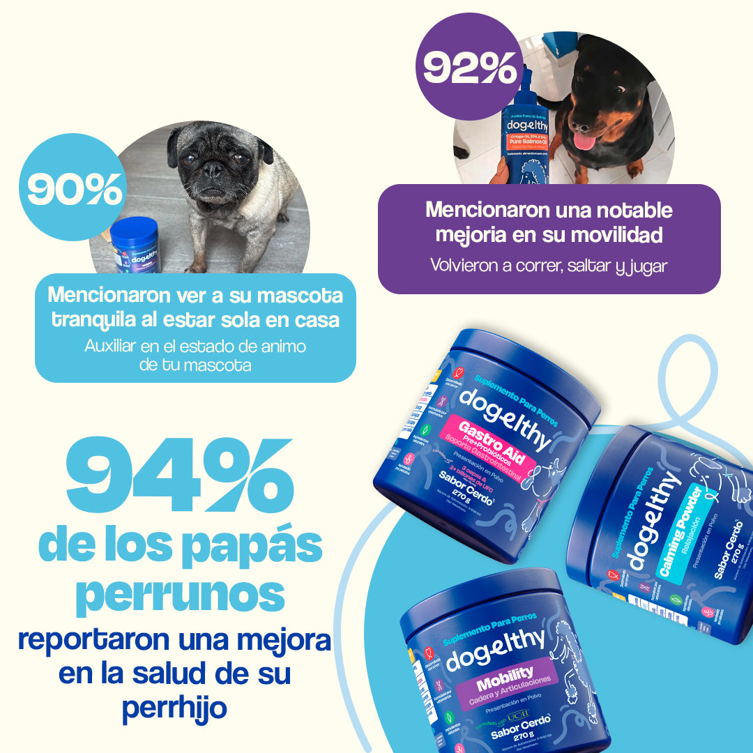 Kit Balance para Perro (Sabor=Cerdo)