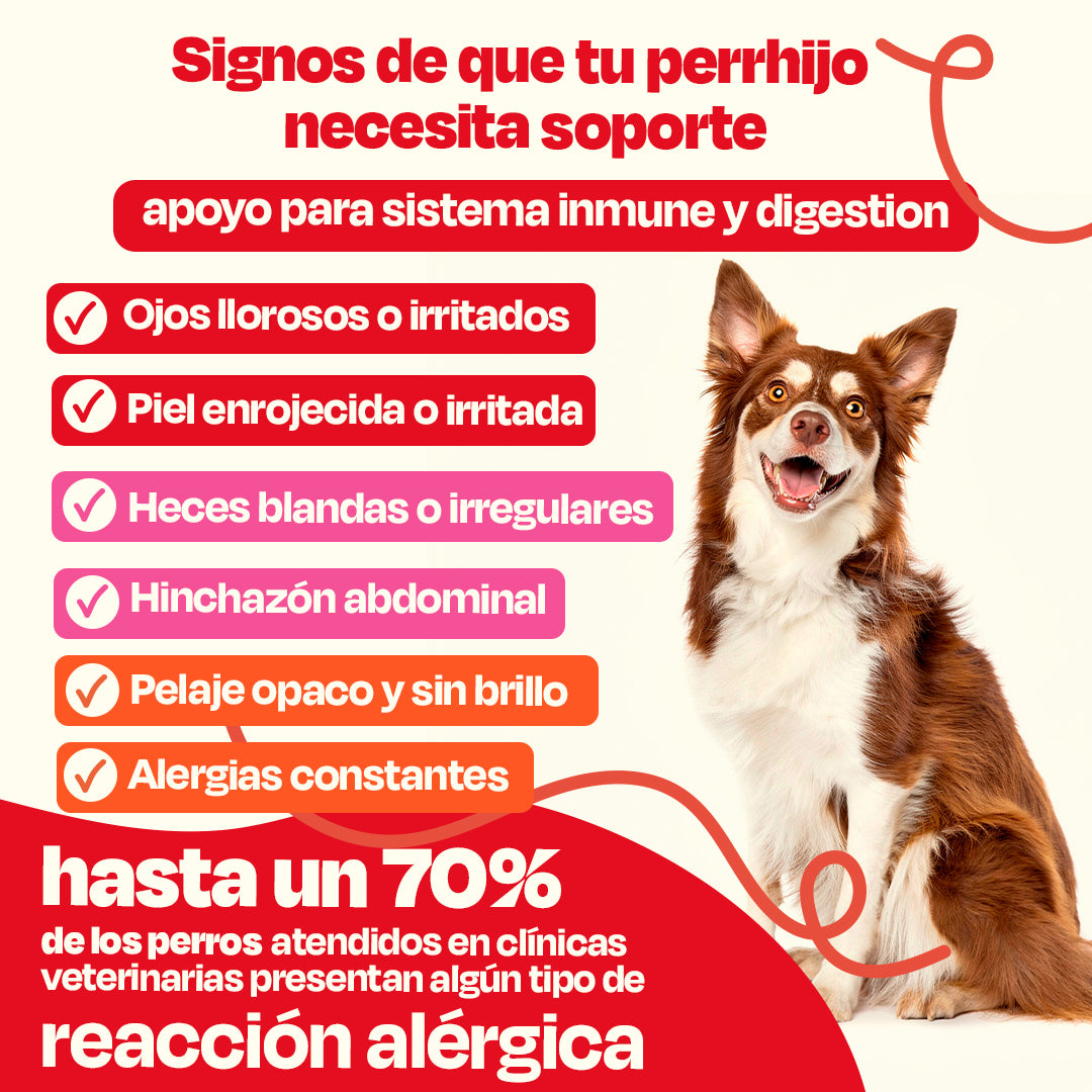 Full Allergy Kit