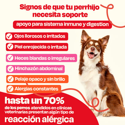 Full Allergy Kit