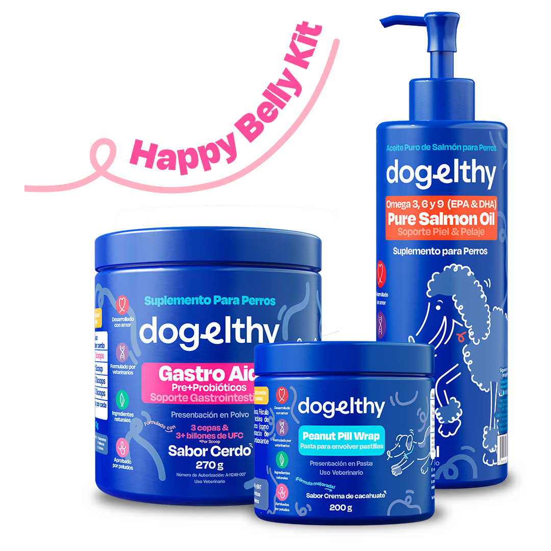 Kit Sistema Digestivo para Perros (Sabor=Cerdo)