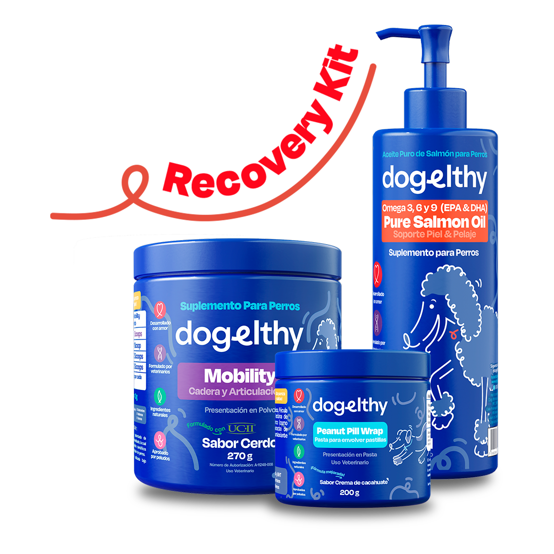 Kit de Recuperación para Perros (Sabor=Cerdo)