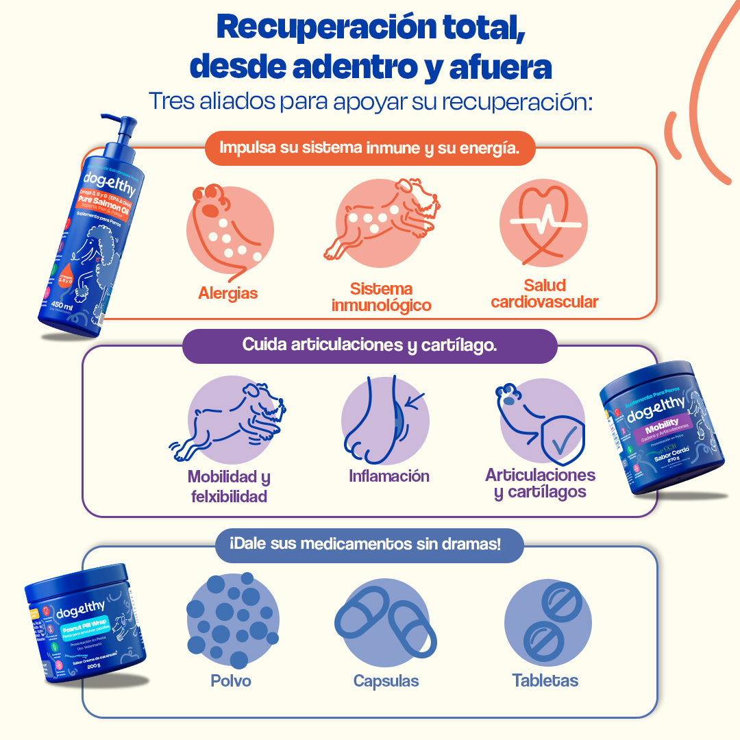 Kit de Recuperación para Perros (Sabor=Cerdo)
