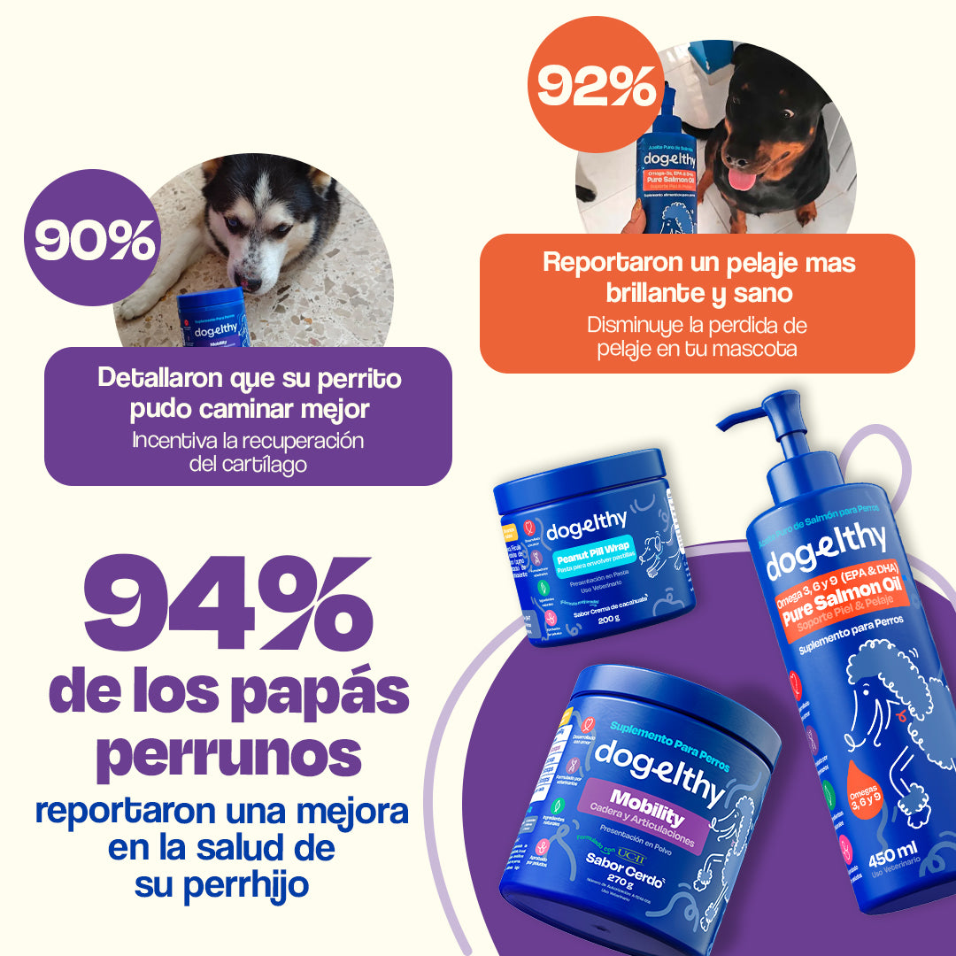 Kit de Recuperación para Perros (Sabor=Cerdo)
