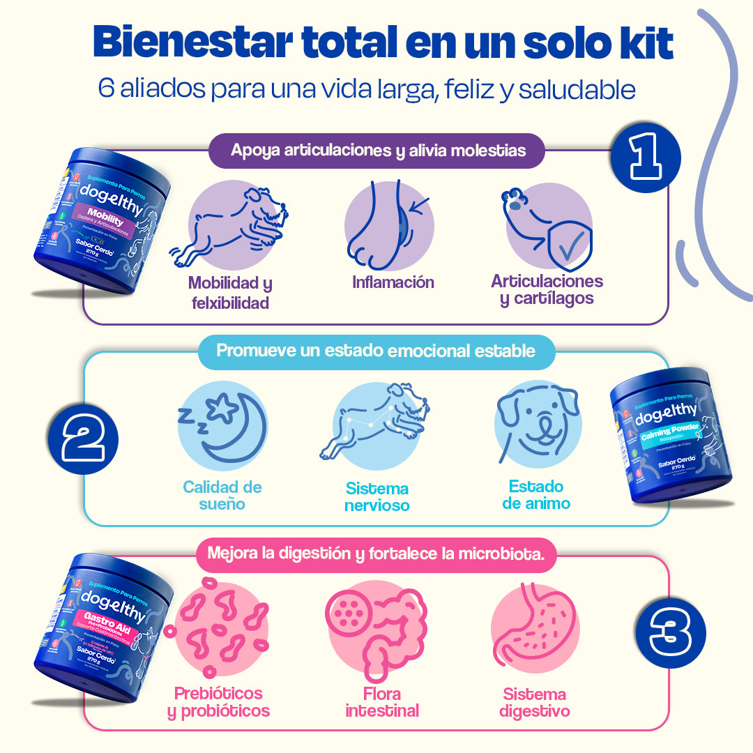 Kit del Perro Sano (Sabor=Cerdo)