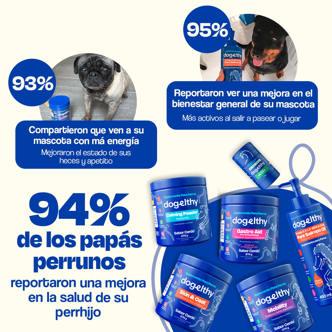 Kit del Perro Sano (Sabor=Cerdo)