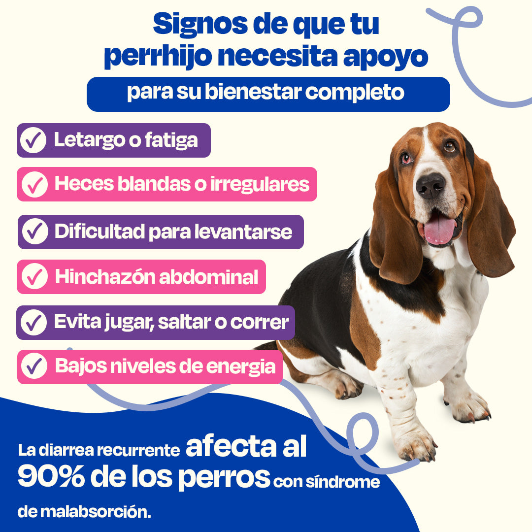 (Sabor=Pescado)