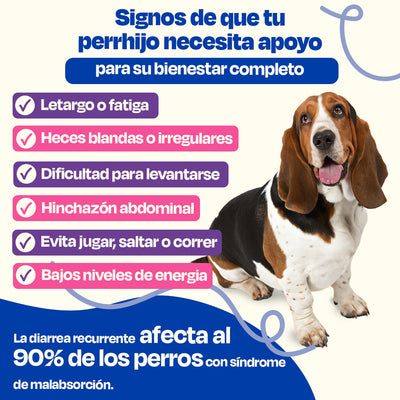 (Sabor=Pescado)