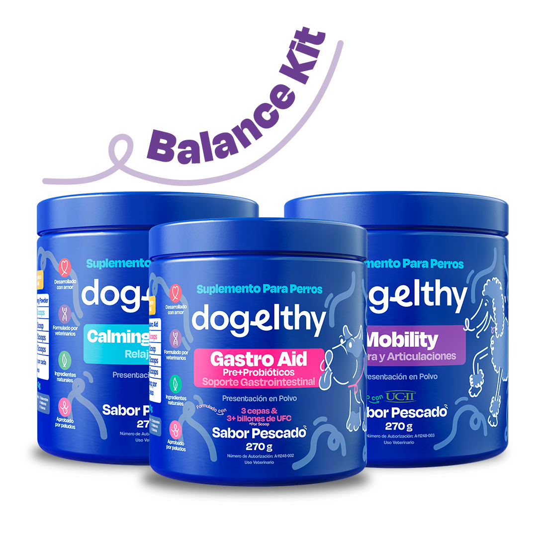 Kit Balance para Perro (Sabor=Pescado)