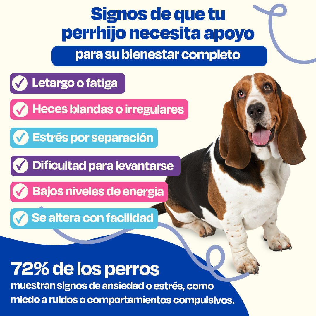 Kit Balance para Perro (Sabor=Pescado)