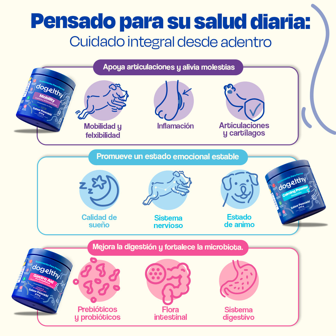 Kit Balance para Perro (Sabor=Pescado)