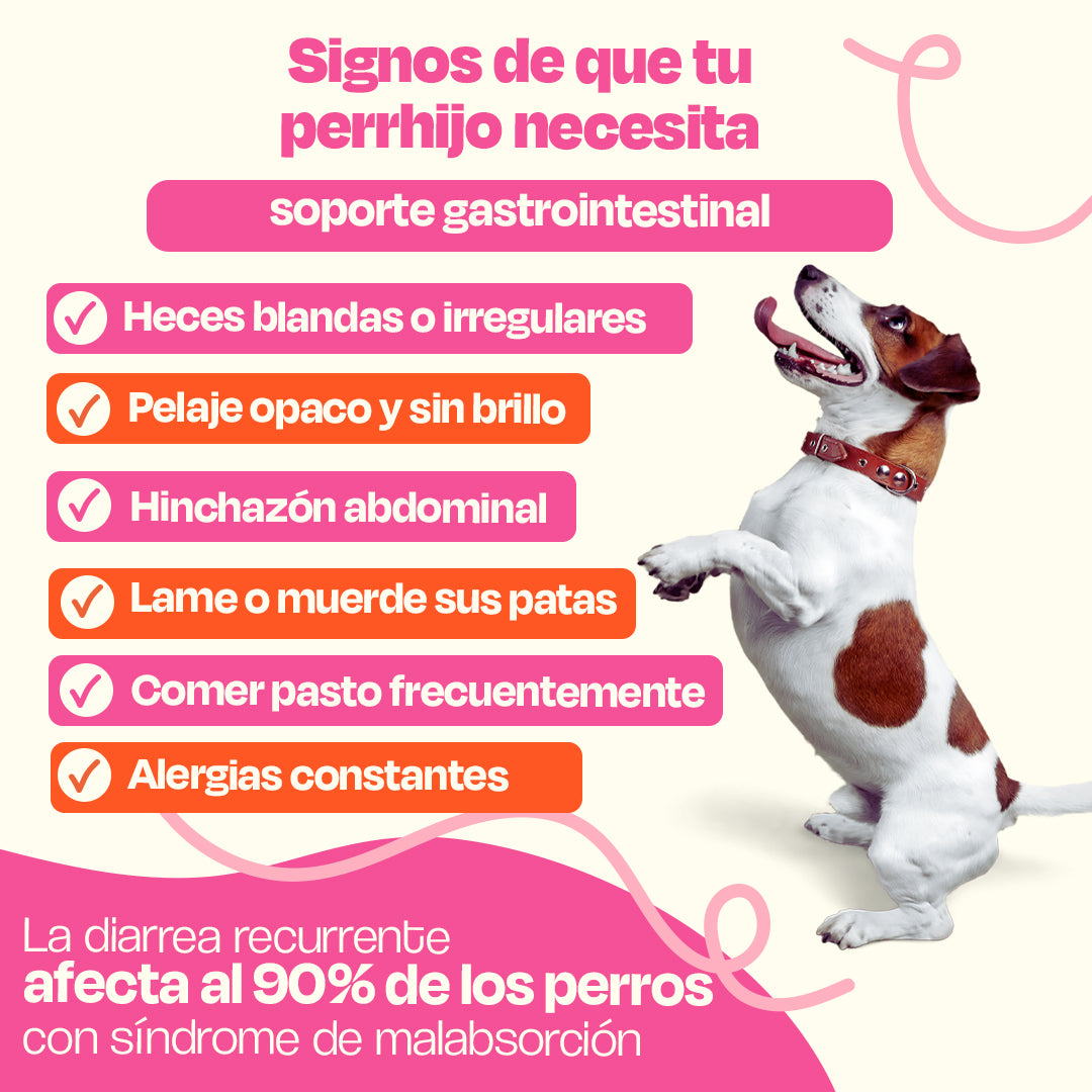 Kit Sistema Digestivo para Perros (Sabor=Pescado)