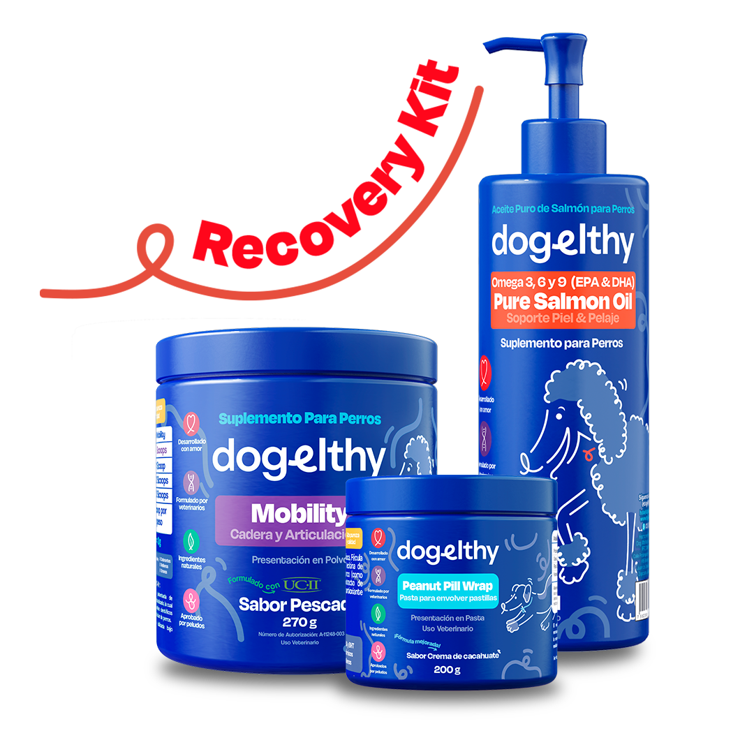 Kit de Recuperación para Perros (Sabor=Pescado)