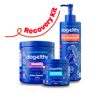 Kit de Recuperación para Perros (Sabor=Pescado)