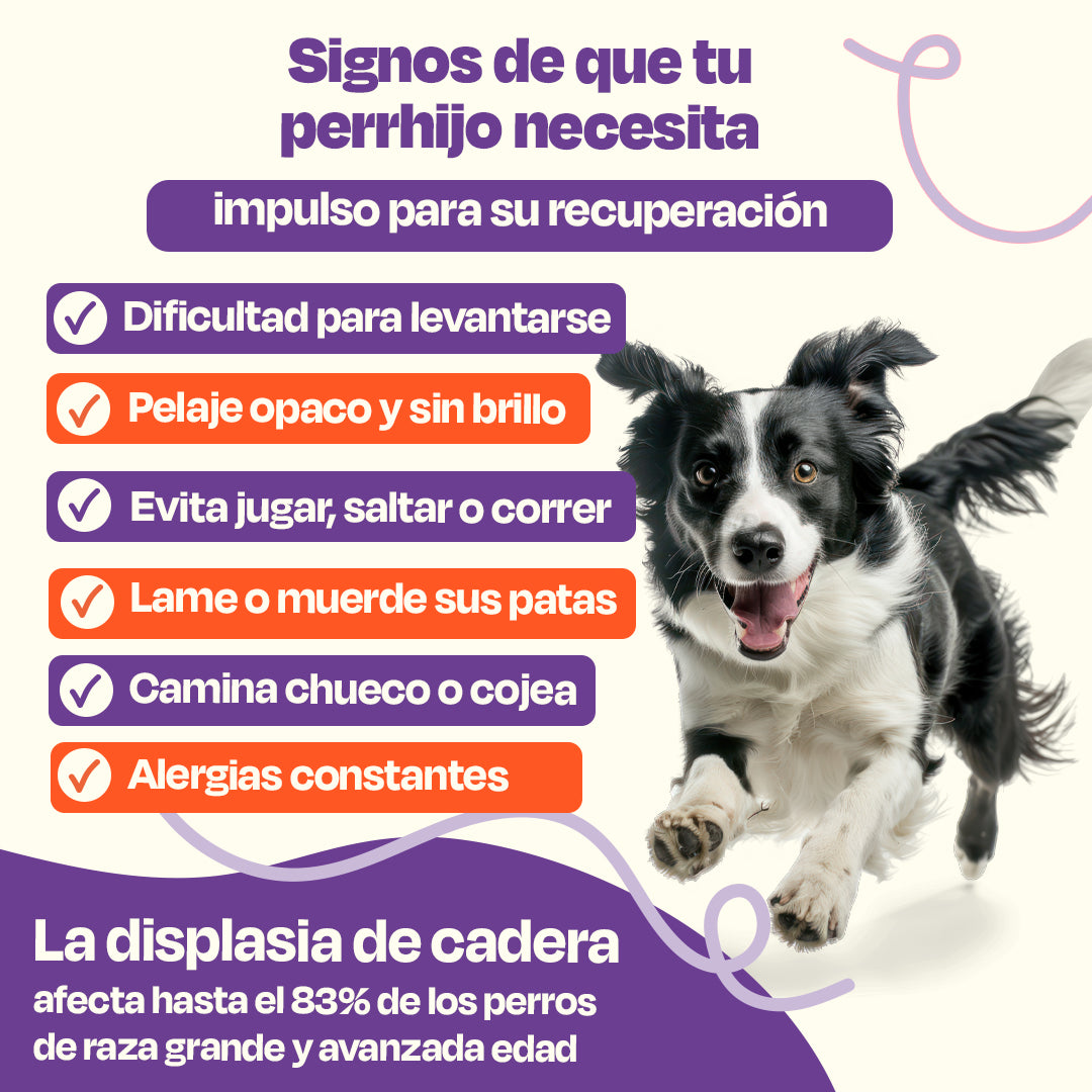 Kit de Recuperación para Perros (Sabor=Pescado)