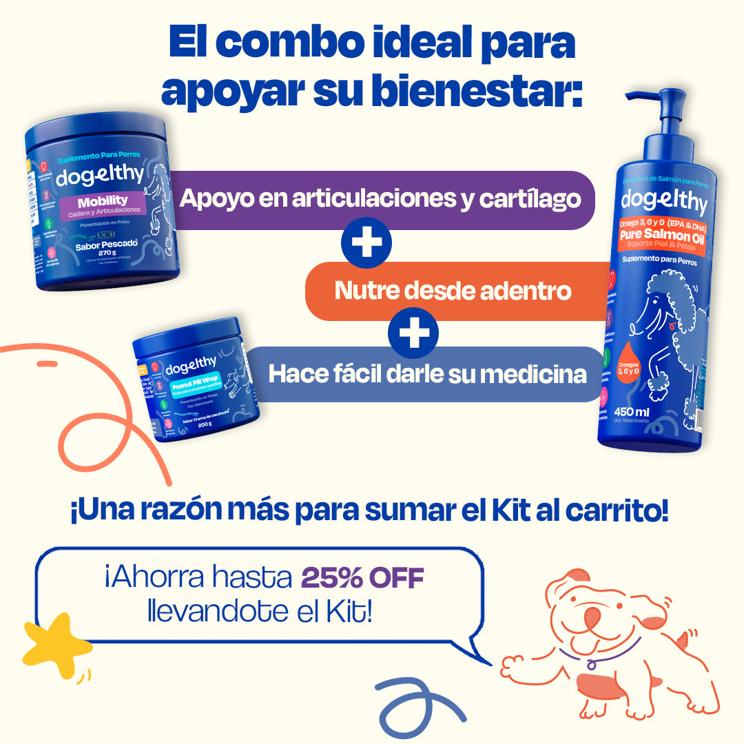 Kit de Recuperación para Perros (Sabor=Pescado)