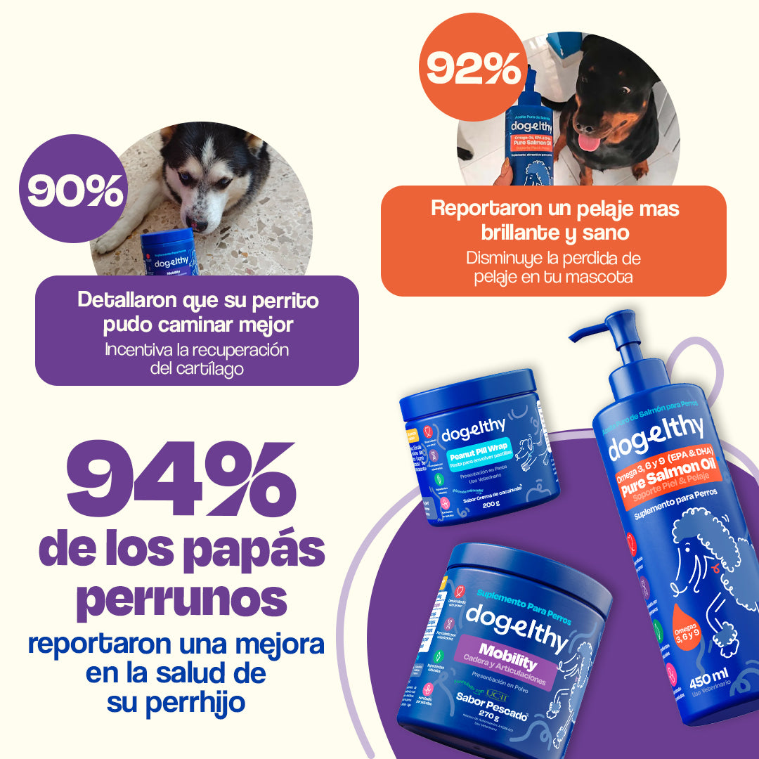 Kit de Recuperación para Perros (Sabor=Pescado)