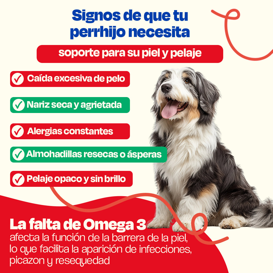 Kit de Omega 3 de Sardina para Perros (Sabor=Pescado)