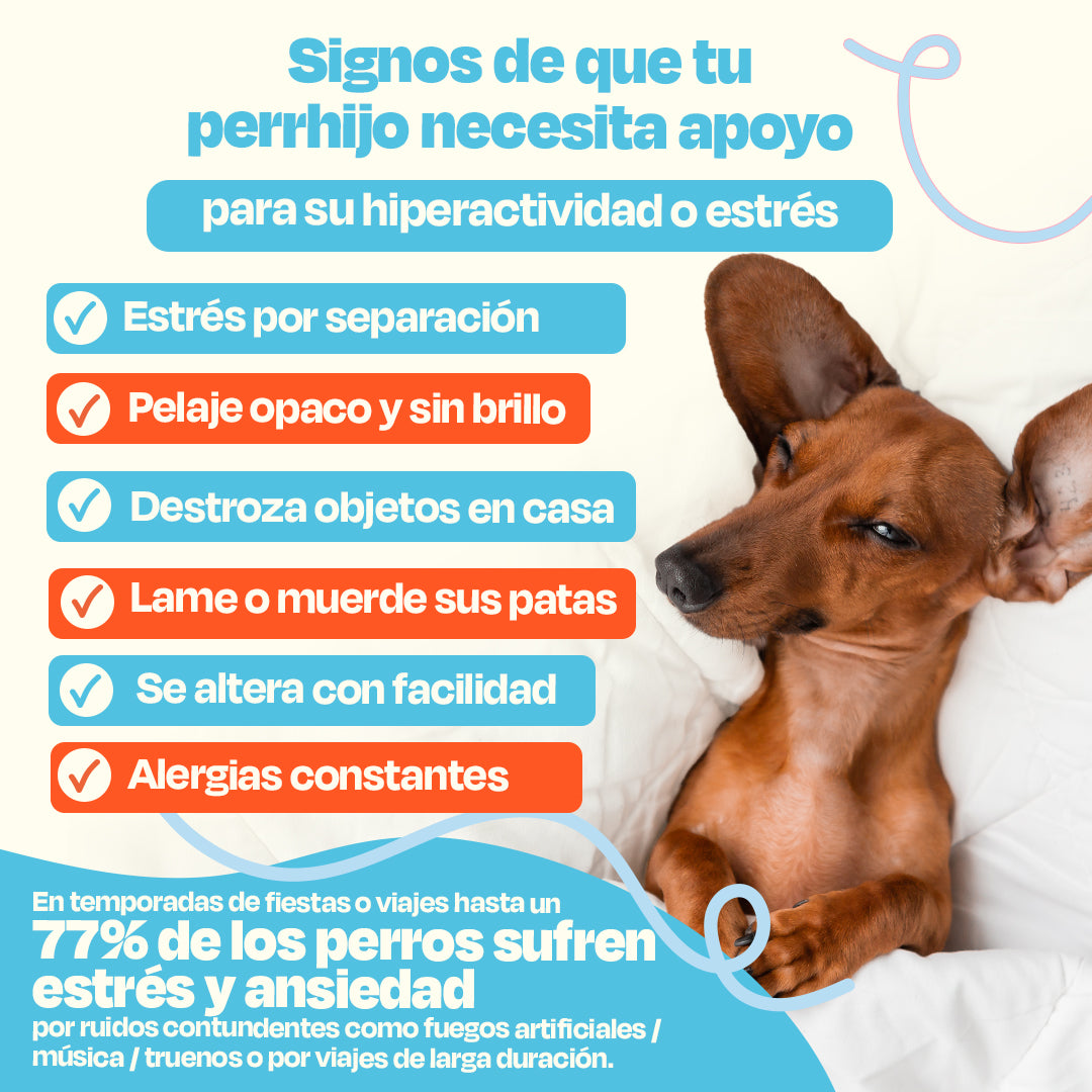 Kit Relajante para Perros (Sabor=Pescado)