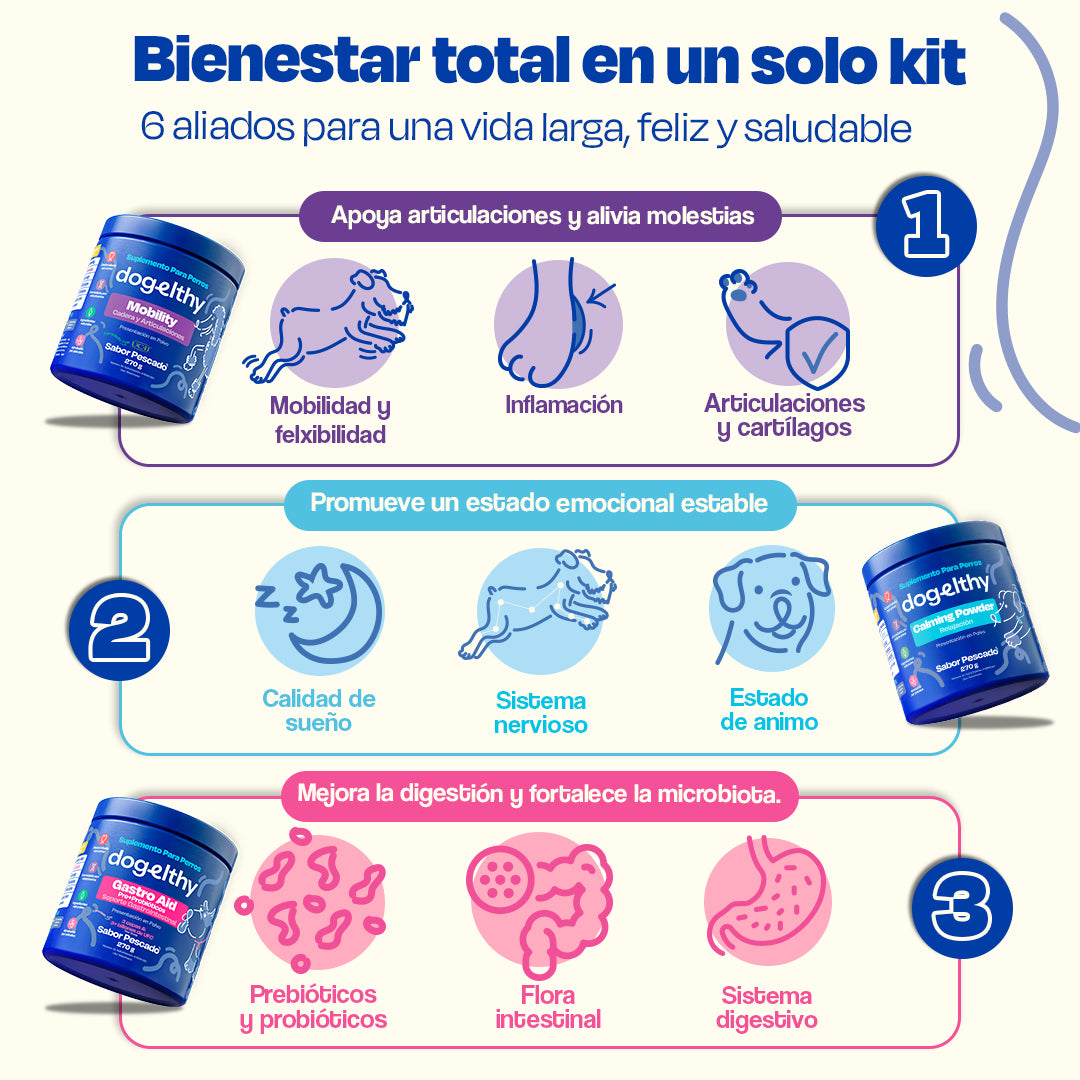 Kit del Perro Sano (Sabor=Pescado)