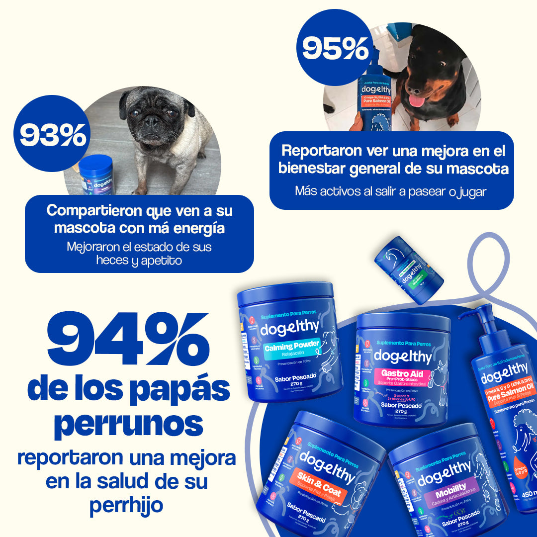 Kit del Perro Sano (Sabor=Pescado)