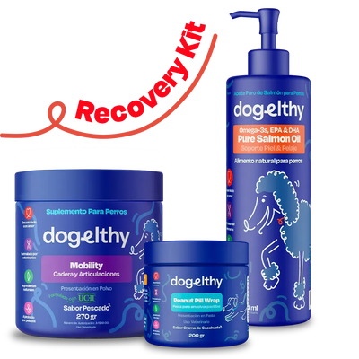 Kit de Recuperación para Perros