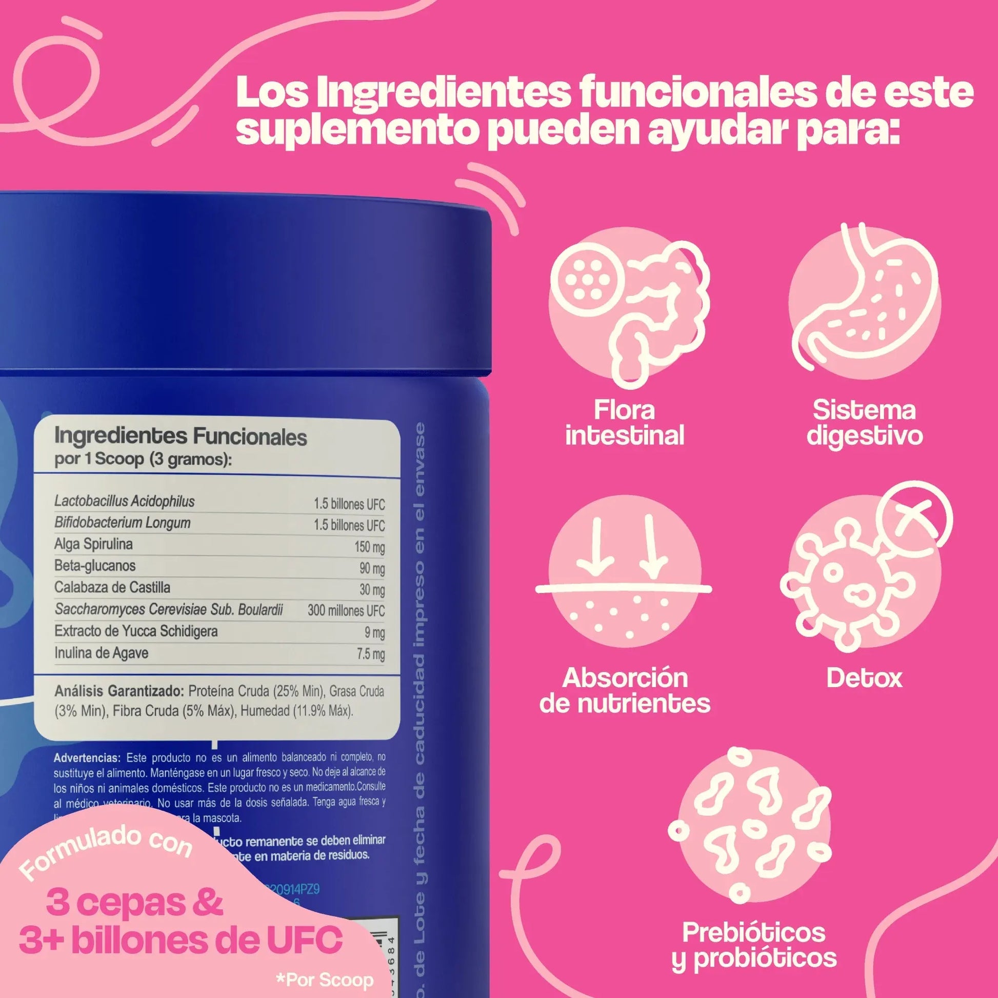 Kit Balance para Perro