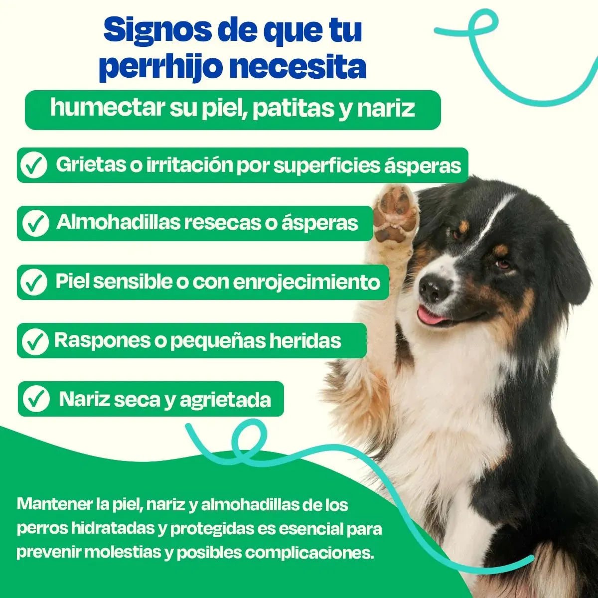 Bálsamo para Nariz de Perro - Dog Balm - Dogelthy