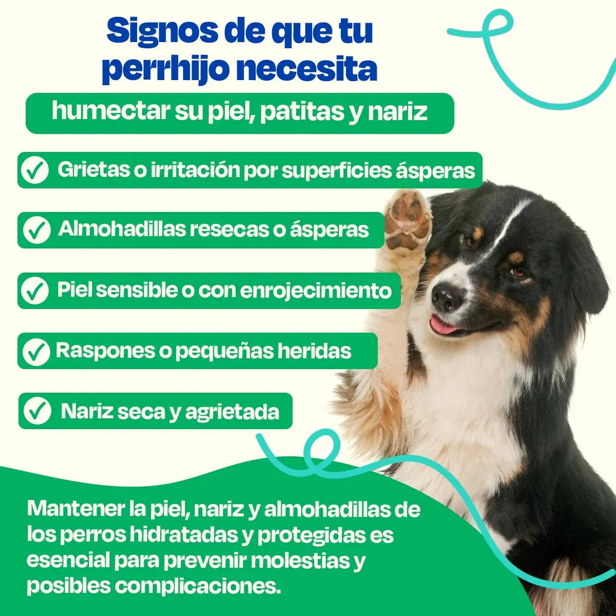 Bálsamo para Patas de Perro