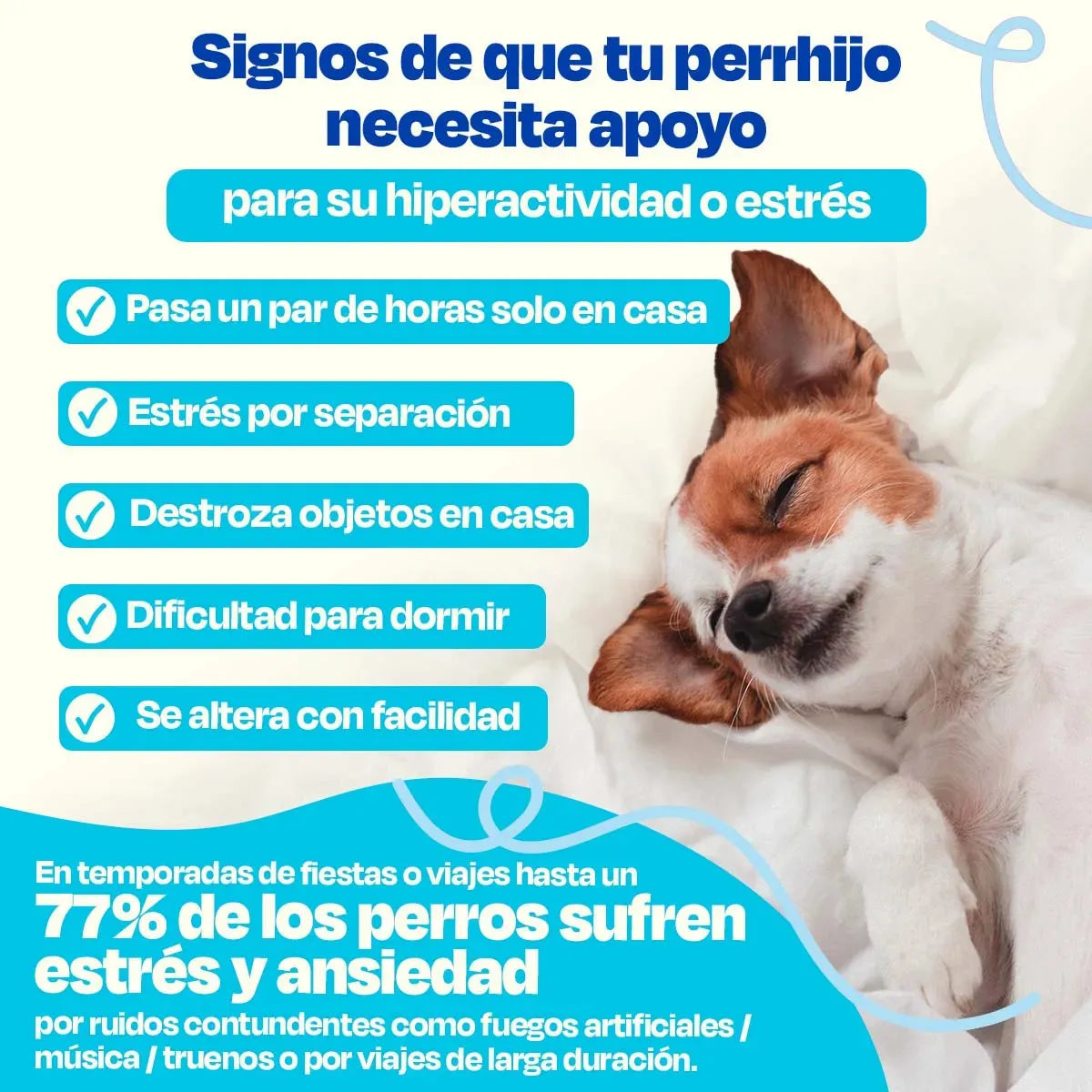 Calmante para Perros - Calming Powder - Dogelthy