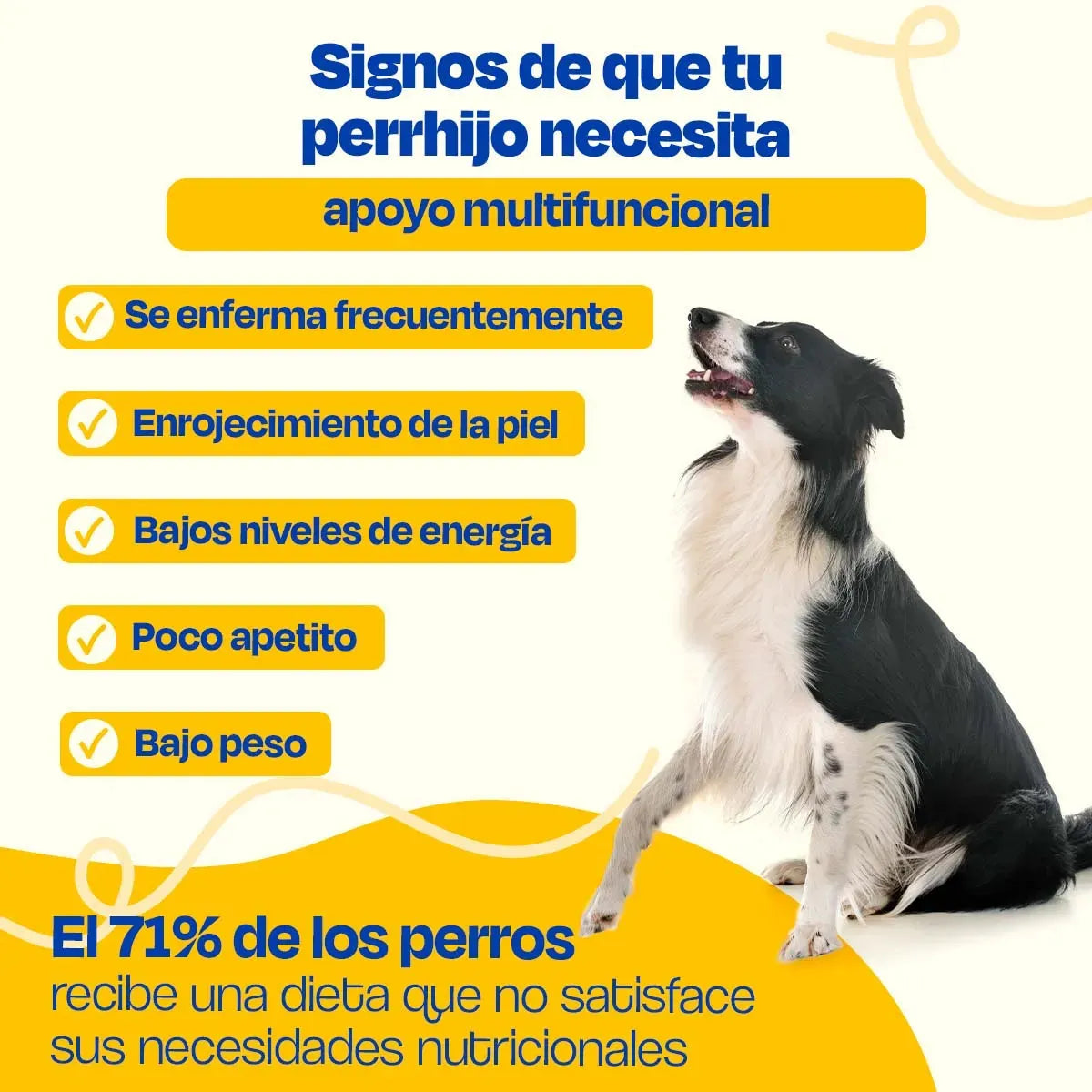 Multivitaminico para Perro