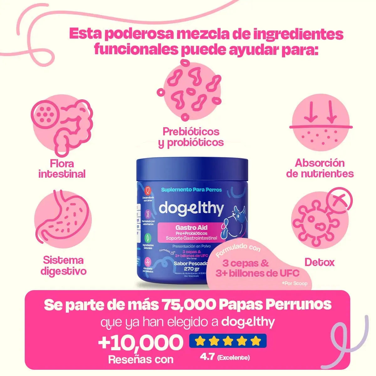 Probióticos para Perros - Gastro Aid - Dogelthy