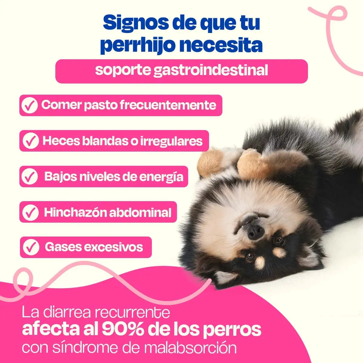 Probióticos para Perros - Gastro Aid - Dogelthy
