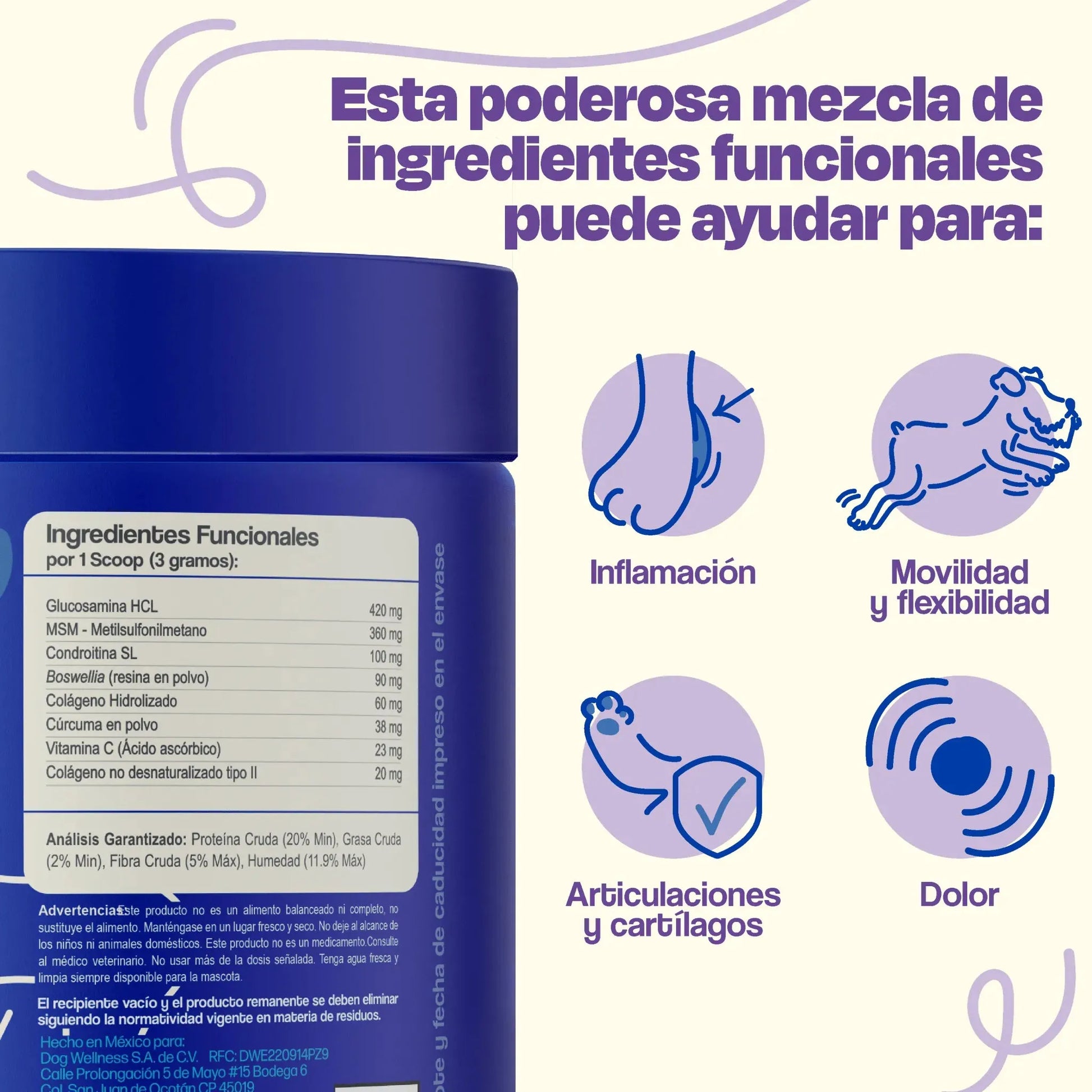 Kit del Perro Sano