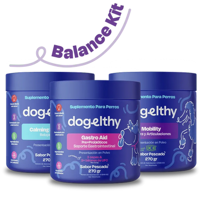 Kit Balance para Perro