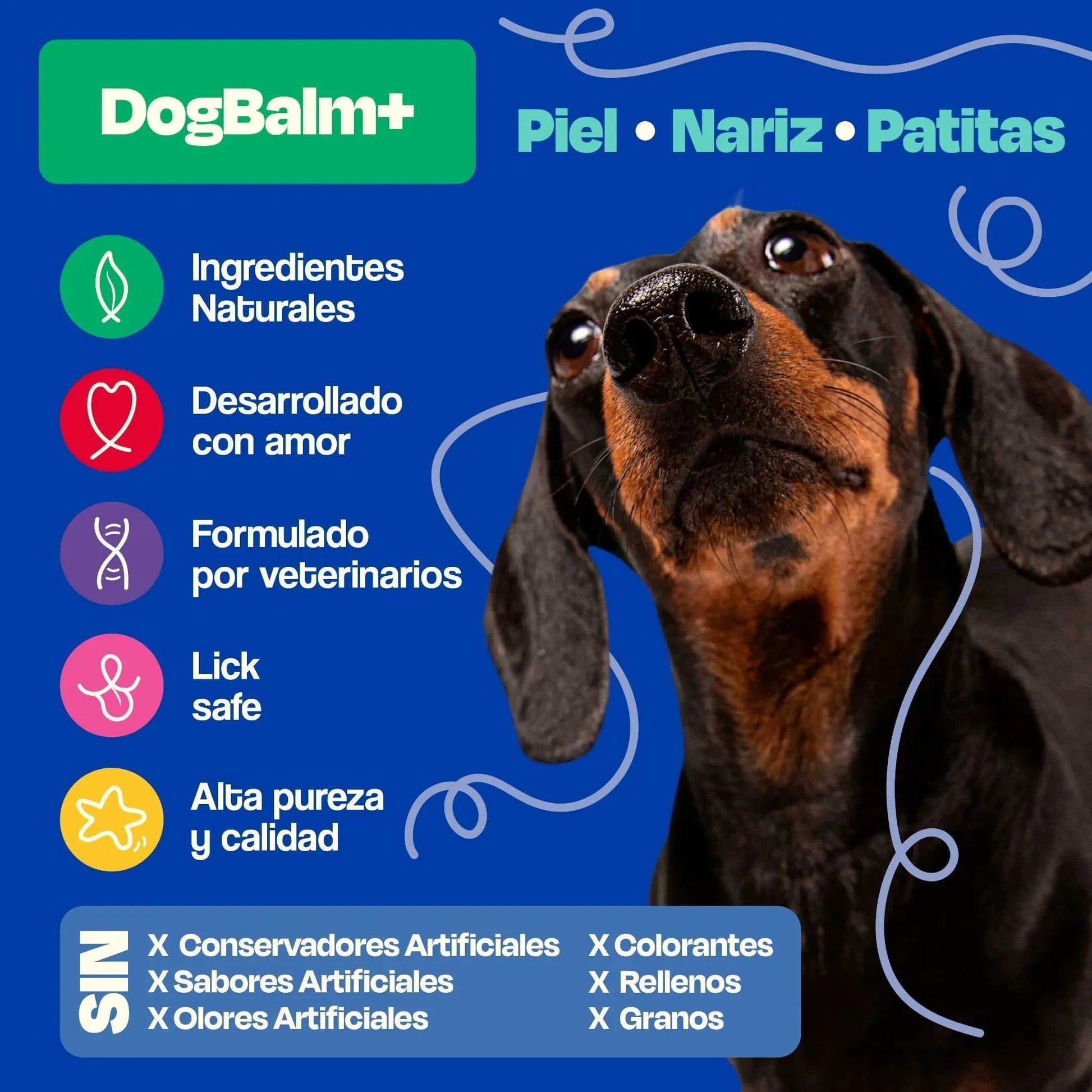 Bálsamo para Nariz de Perro
