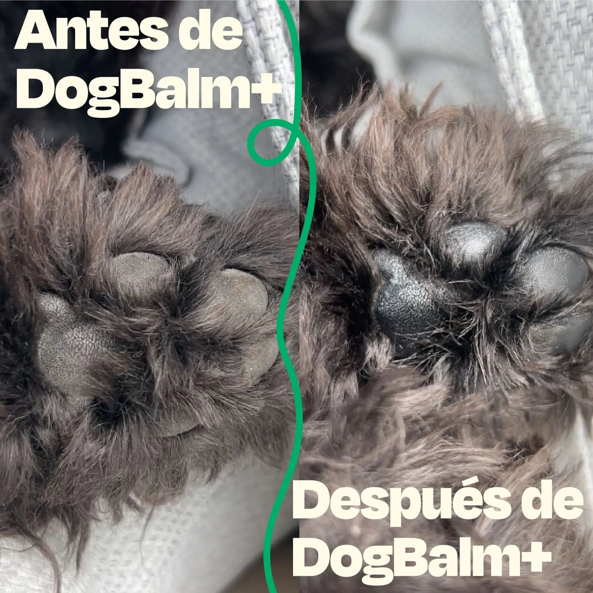 Bálsamo Para Nariz Y Patas De Perro - Hidratante Natural, Seguro Si Lame, 6g