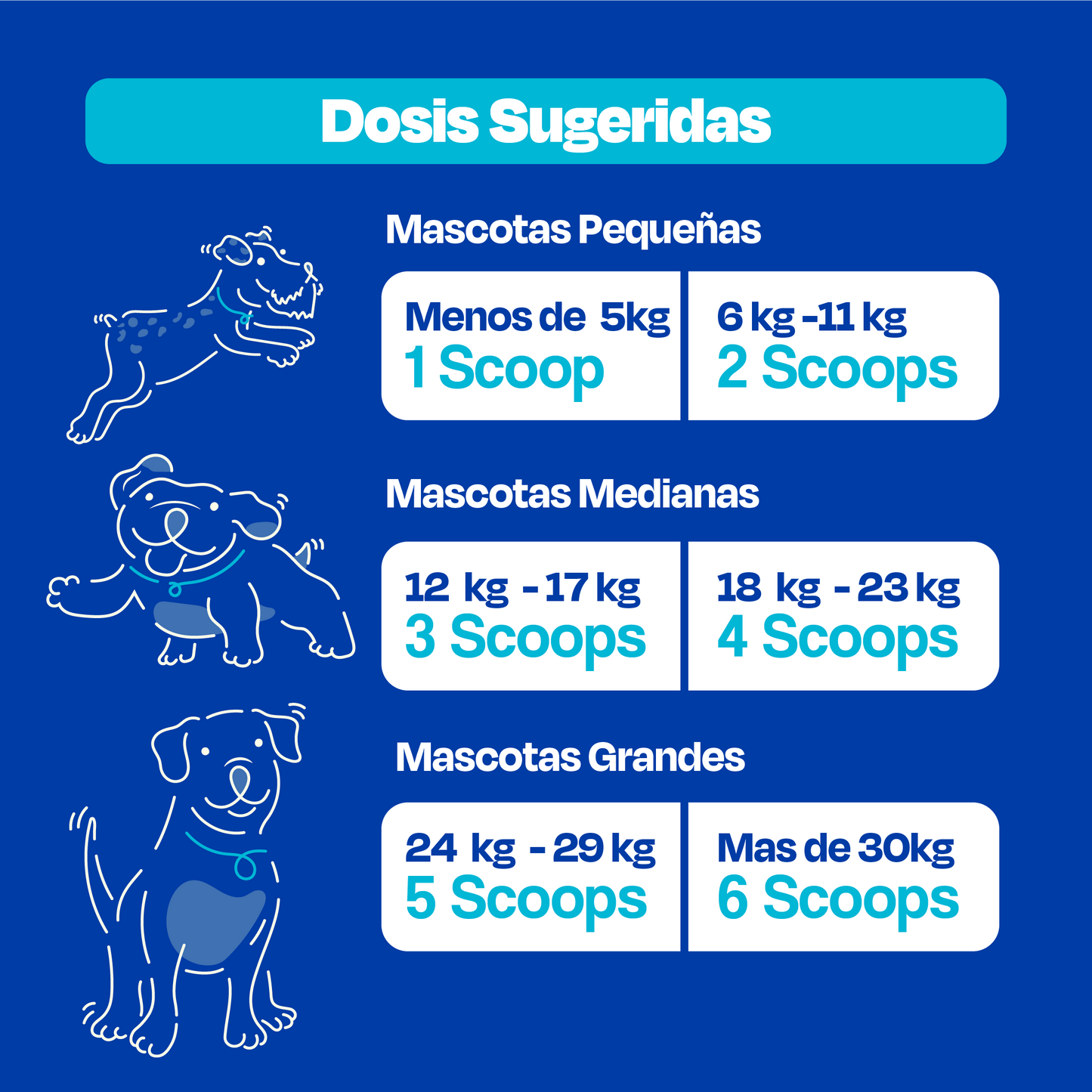 Multivitamínico 10 en 1 (Próximamente)