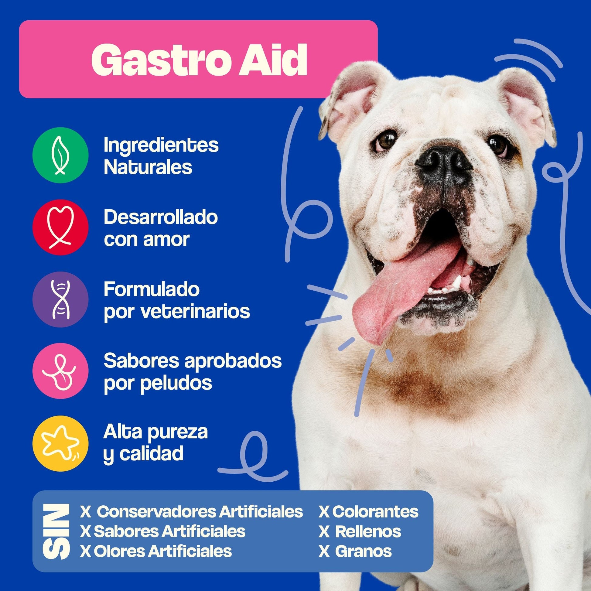 Gastro Aid - Dogelthy