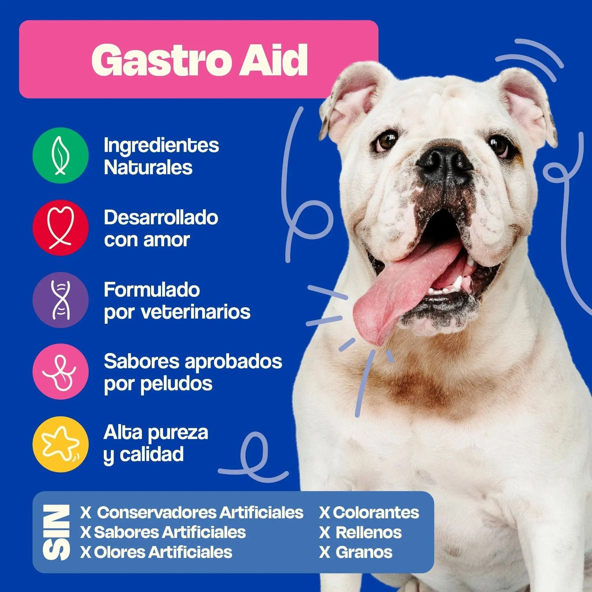 Probióticos para Perros