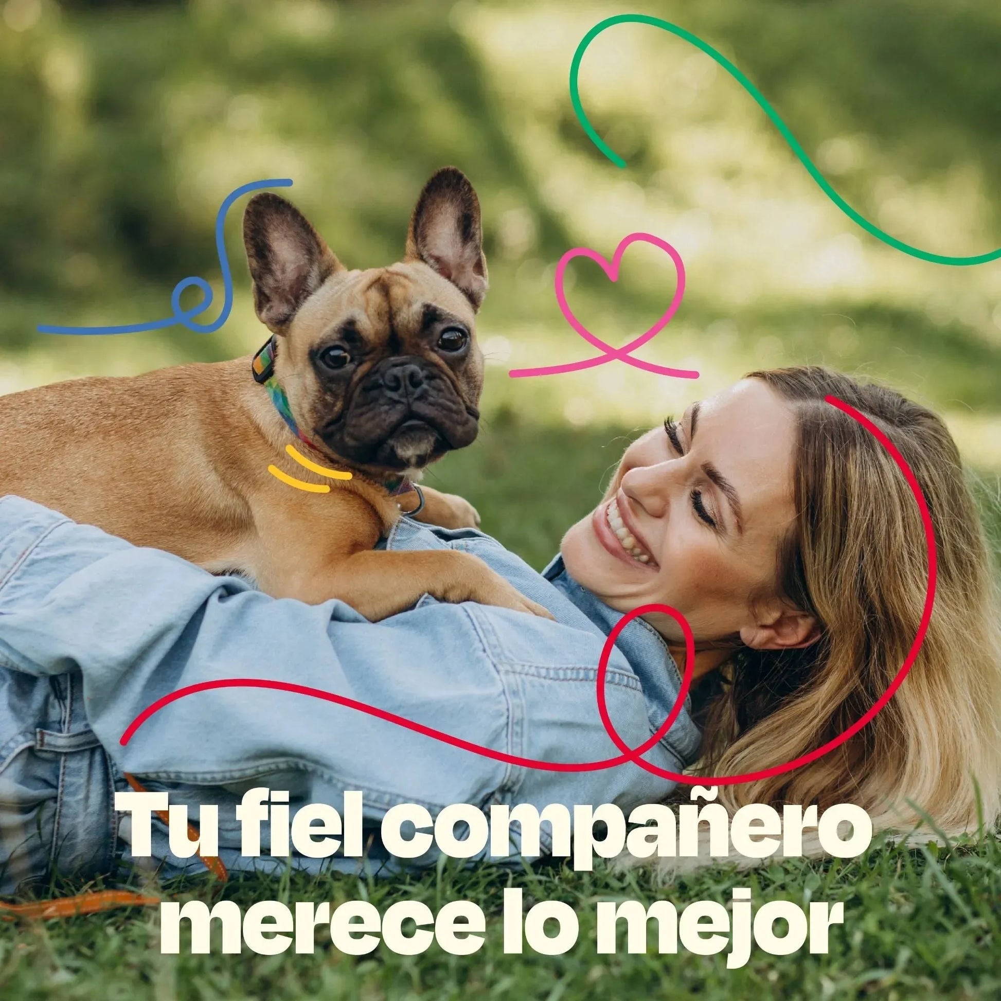 Kit Sistema Digestivo para Perros