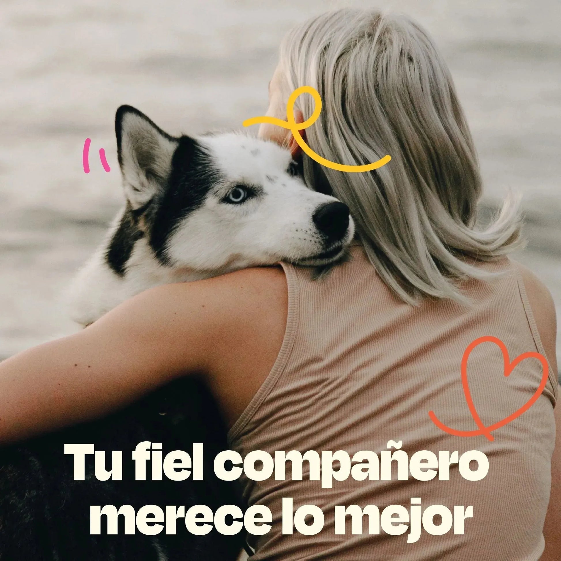 Kit de Recuperación para Perros