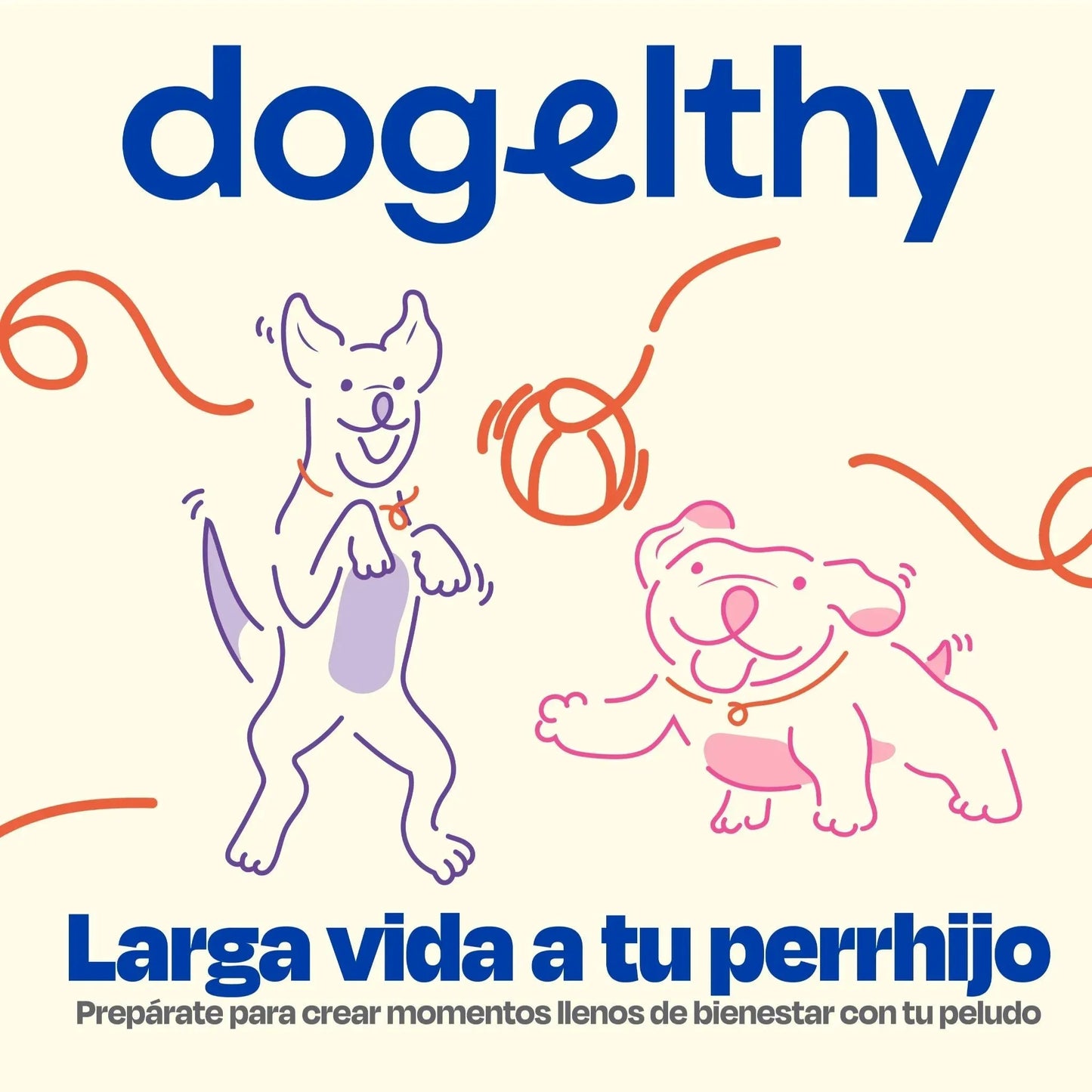 Kit de Recuperación para Perros