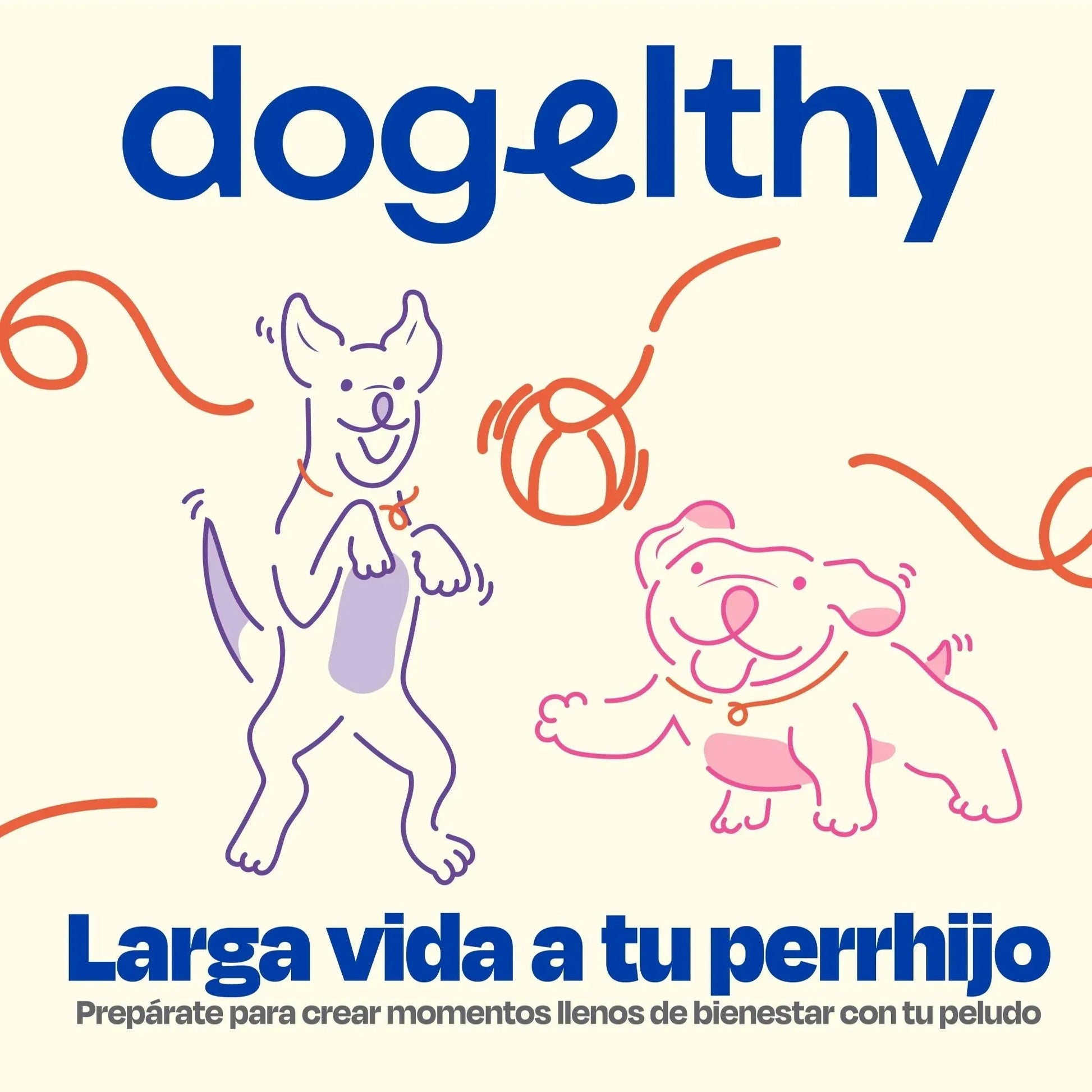 Kit de Recuperación para Perros
