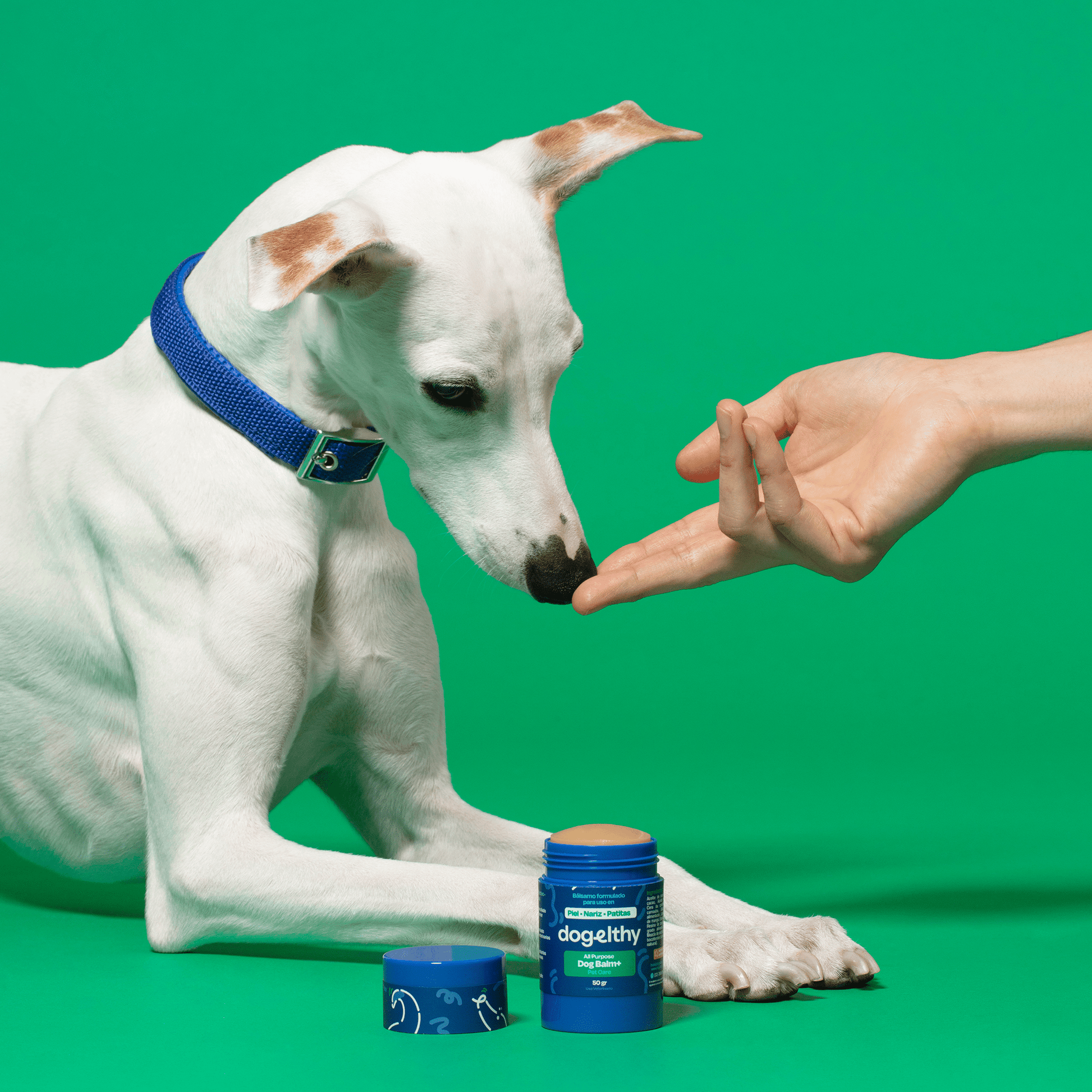 Ultimate Wellness Kit - Dogelthy